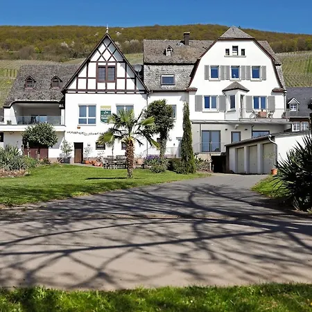 Moselgarten - Domherren-suite * Piesport