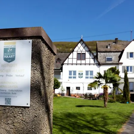 Moselgarten - Domherren-suite * Piesport