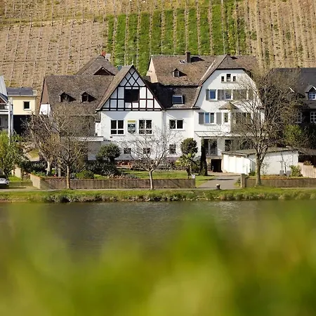 Moselgarten - Domherren-suite * Piesport