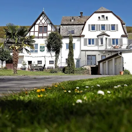 Moselgarten - Domherren-suite Apartamento