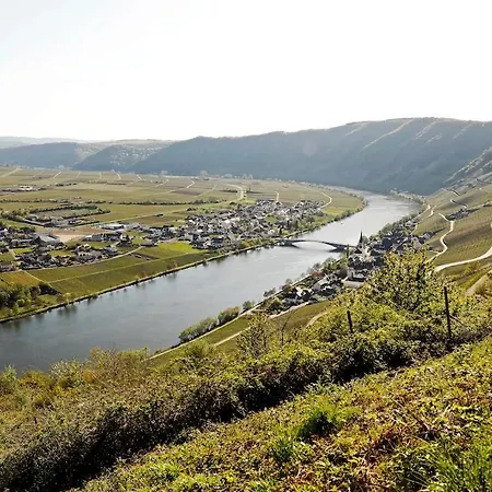 Moselgarten - Domherren-suite * Piesport